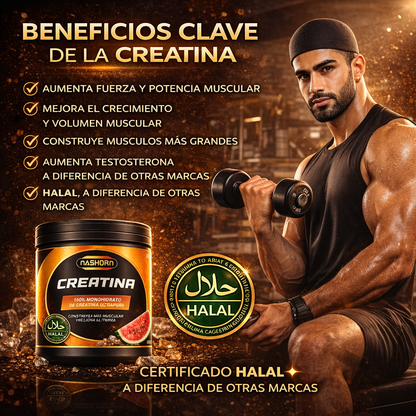 La creatina 100% Halal y natural que mejora tu fuerza, energía y enfoque en poco tiempo